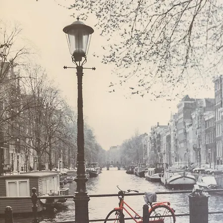 Larraigana - Baskeyrentals *